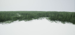 Grass Forest V 1