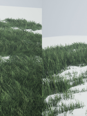 Grass Forest V 1