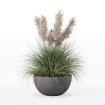 Grass in big flower pot
