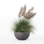 Grass in big flower pot