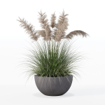 Grass in big flower pot