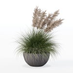 Grass in big flower pot