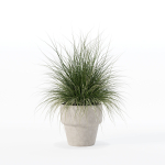 Grass in big flower pot