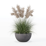 Grass in big flower pot