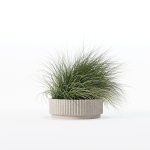 Grass in big flower pot
