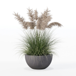 Grass in big flower pot