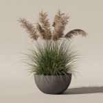 Grass in big flower pot
