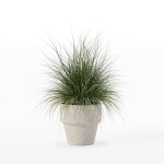 Grass in big flower pot