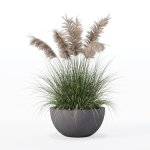 Grass in big flower pot