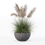 Grass in big flower pot