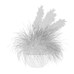 Grass in big flower pot