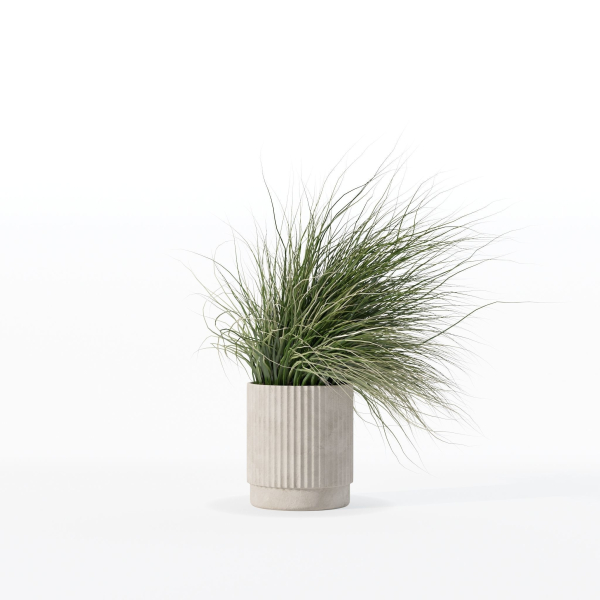 Grass in big flower pot