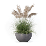 Grass in big flower pot