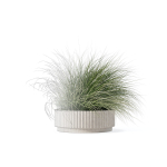 Grass in big flower pot