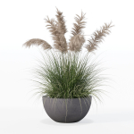 Grass in big flower pot
