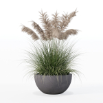 Grass in big flower pot