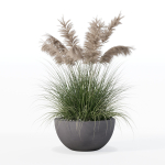 Grass in big flower pot