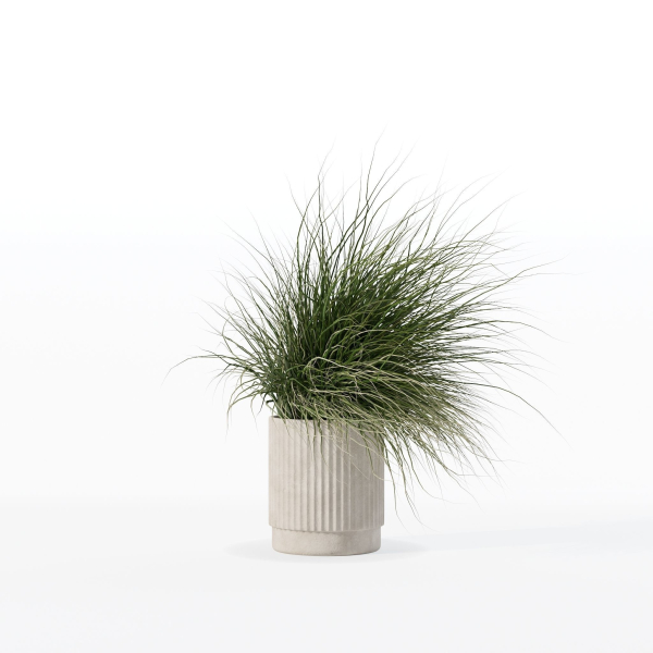 Grass in big flower pot