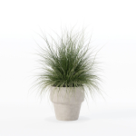 Grass in big flower pot