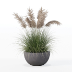 Grass in big flower pot