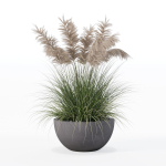Grass in big flower pot