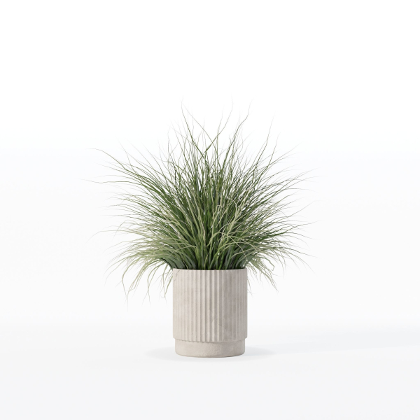 Grass in big flower pot
