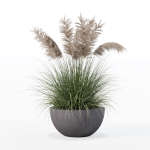 Grass in big flower pot