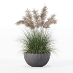 Grass in big flower pot