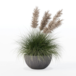 Grass in big flower pot