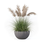 Grass in big flower pot