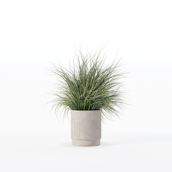 Grass in big flower pot