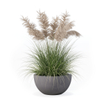 Grass in big flower pot
