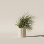 Grass in big flower pot