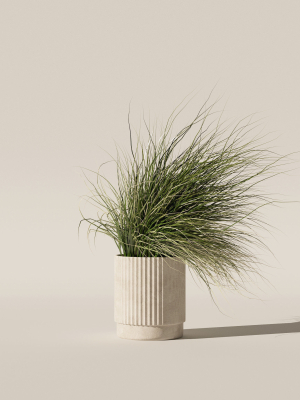 grass-in-big-flower-pot-3d-model-943cd8d323