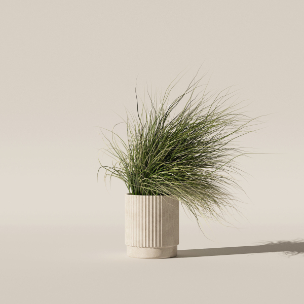 Grass in big flower pot