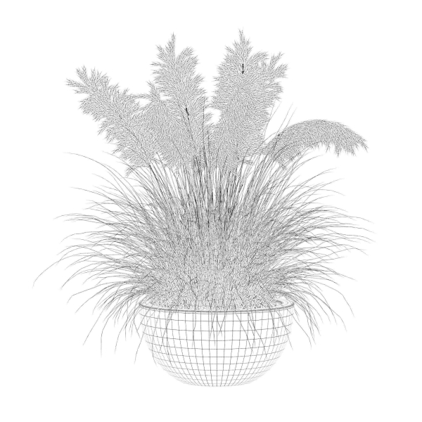 Grass in big flower pot