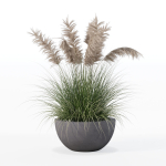 Grass in big flower pot