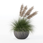 Grass in big flower pot