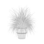 Grass in big flower pot