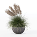 Grass in big flower pot
