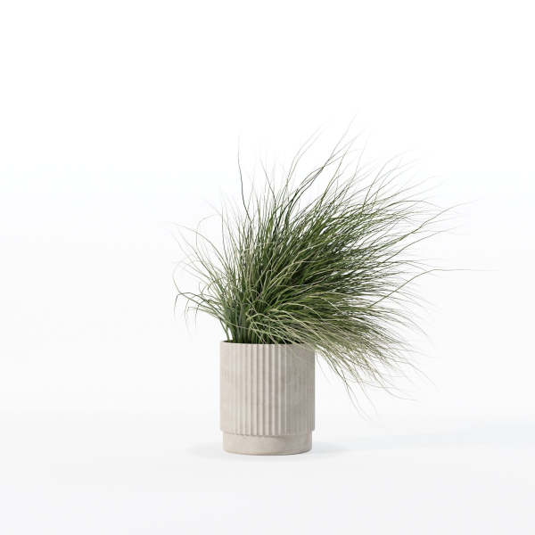 Grass in big flower pot