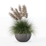 Grass in big flower pot