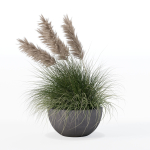 Grass in big flower pot