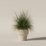 Grass in big flower pot