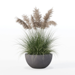 Grass in big flower pot