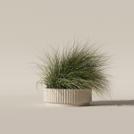 Grass in big flower pot