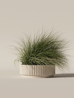 grass-in-big-flower-pot-3d-model-dcd37a3b7c