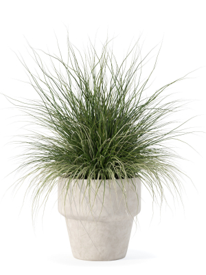 grass-in-big-flower-pot-3d-model-e5b60d0289