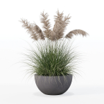 Grass in big flower pot