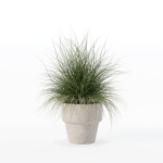 Grass in big flower pot